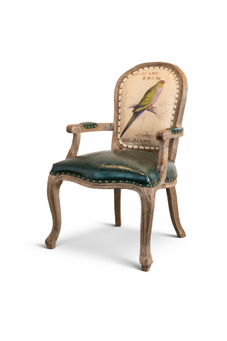 Chair with decorative backrest featuring a parrot illustration.