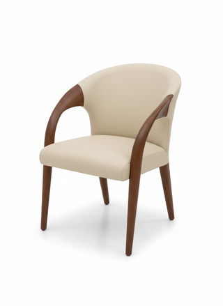 Dining chair with the stunning curves